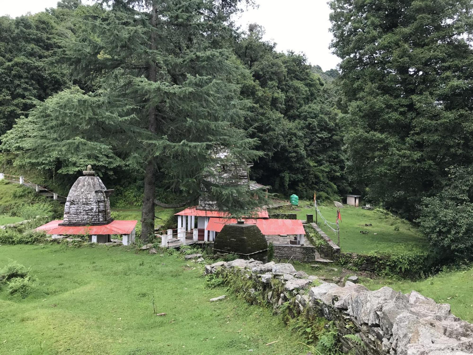Simba Jungle Lodge, Binsar Wildlife Sanctuary Exterior photo